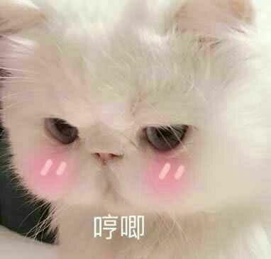 一只小小的BOBK收藏着无数男人的事业心和潜在的野心！