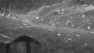 运动鞋涂凡士林,运动鞋上油