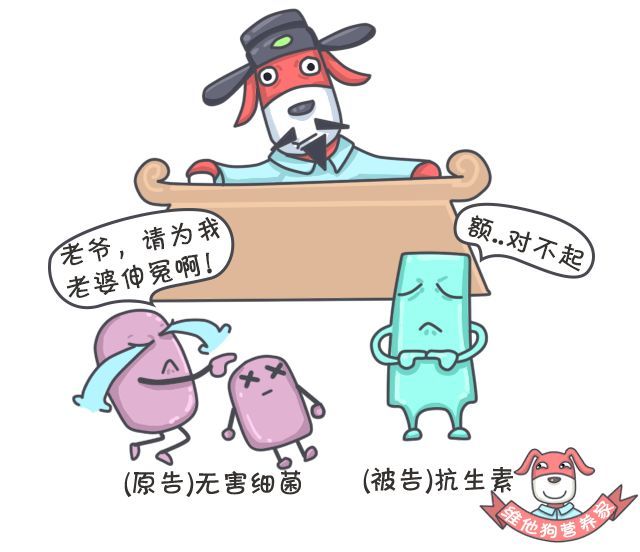 抗生素什么时候服用最好,抗生素什么时候起效果