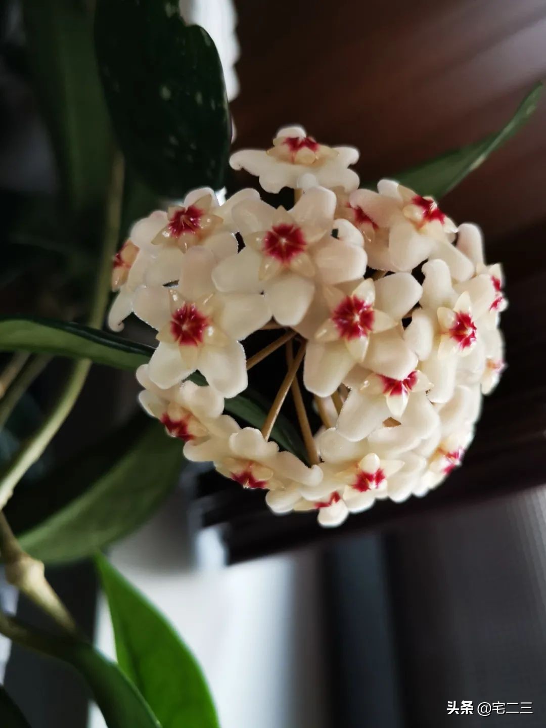 嗜好旧物的90后,用柔软的心构建家中岁月感