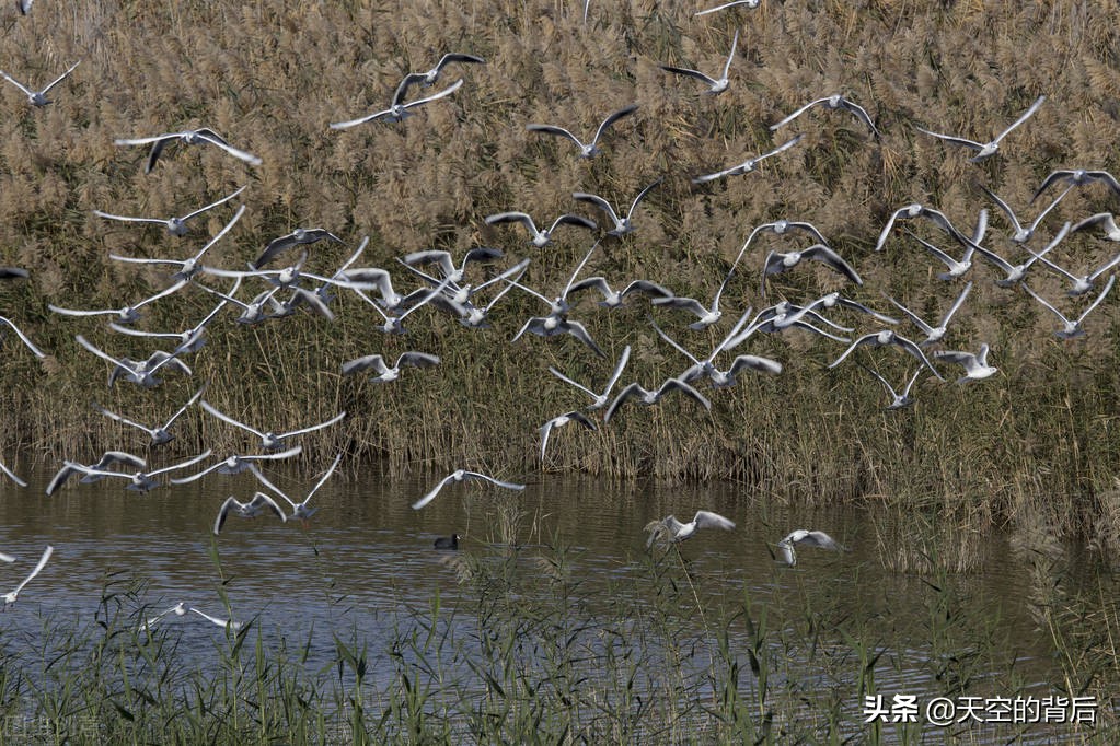 当你遇到小人时该怎么处理,工作生活中遇到小人怎么解