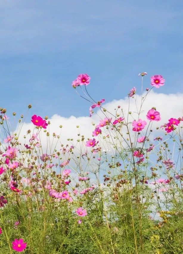 中国天路震撼视频,中国十大惊艳的天路