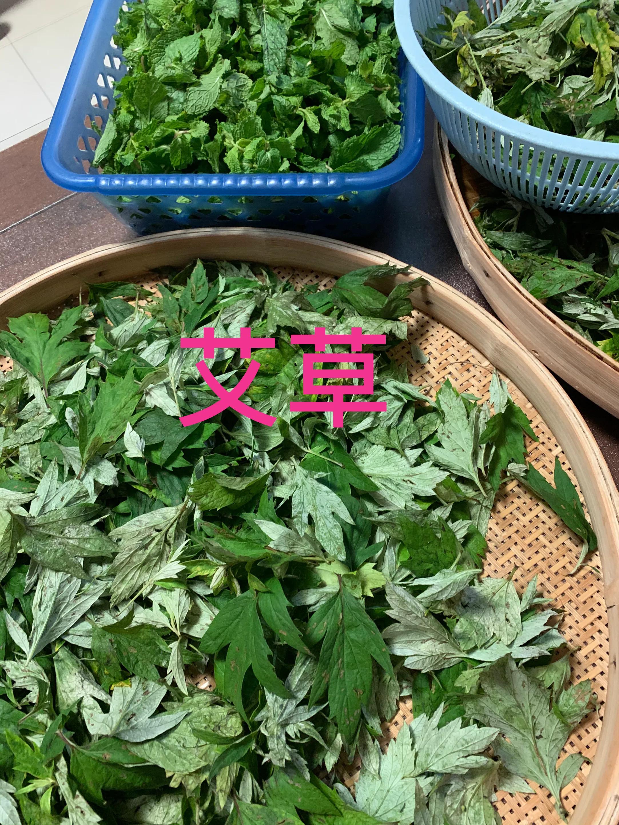 艾草薄荷膏的制作方法,幼儿园自制艾草薄荷膏的简单方法