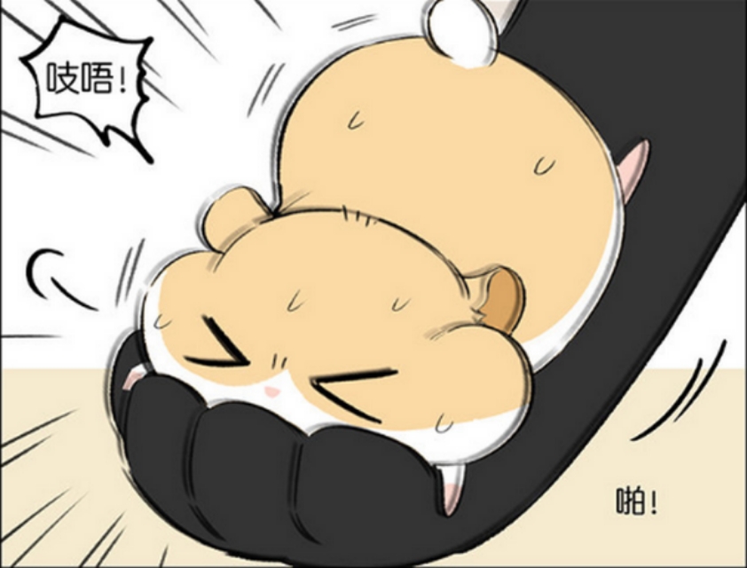 仓鼠跑步速度有多快,仓鼠跑步的速度有多快