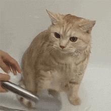 你听说过“洗澡假”吗?简直太幸福了吧