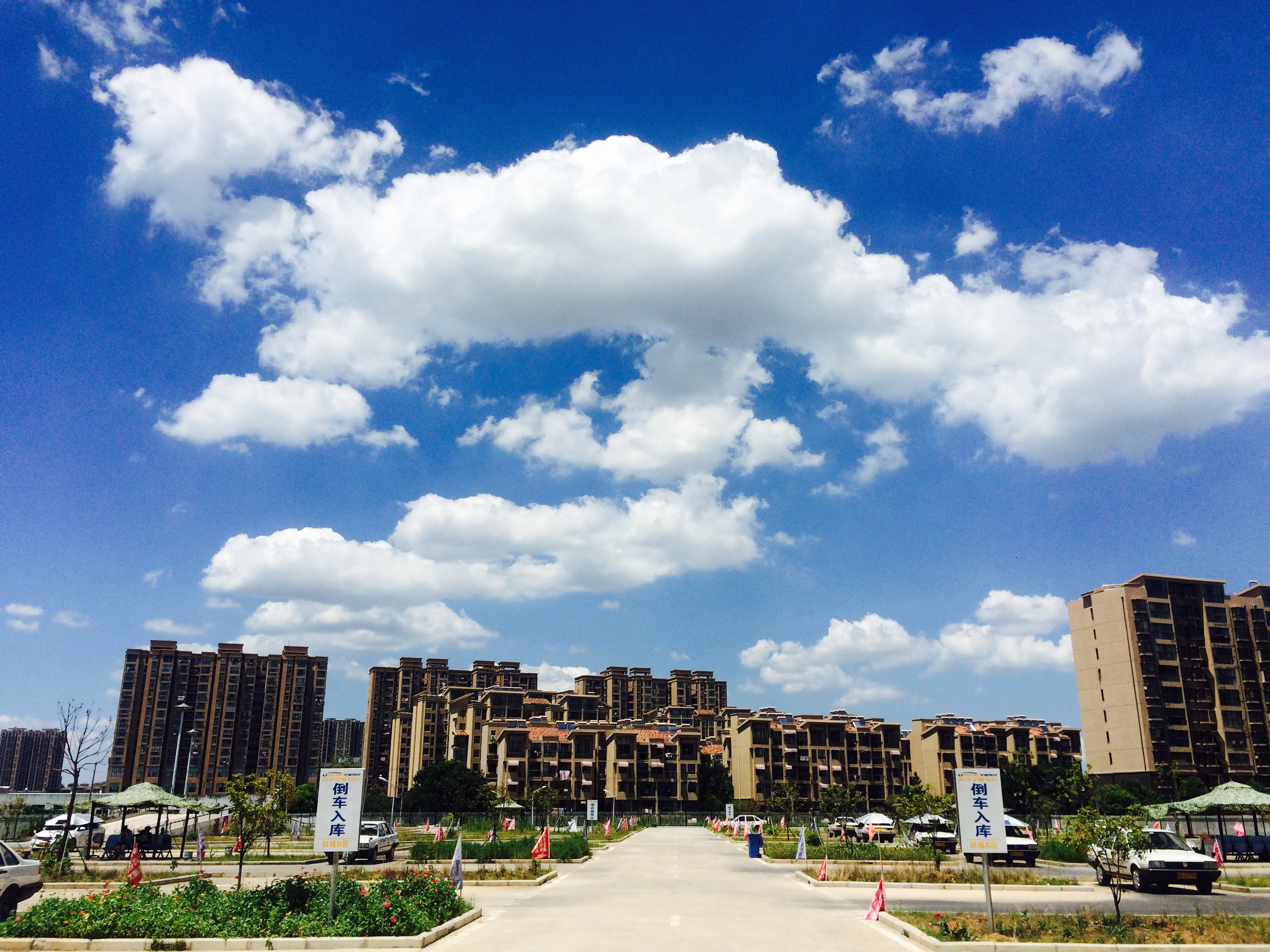 考驾照选择哪种报名方式比较好,南京考摩托车驾照流程