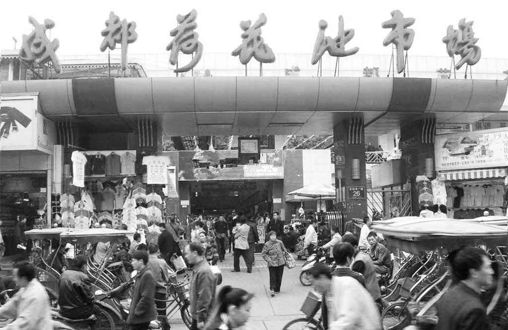 记得曾经的成都荷花池吗？我曾在那电瓶车乱穿的路上发生交通事故