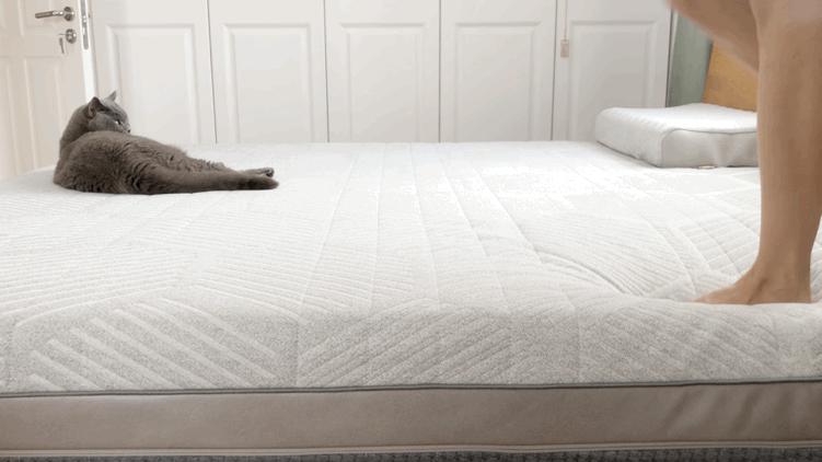 躺平青年的睡眠好物！8H黑金刚大口径独立弹簧乳胶床垫深度体验