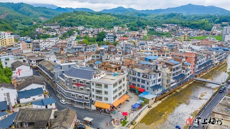 山下红色“讲古”，山上绿色“品茗”！脱贫奔康，梅州大埔这里风景独好