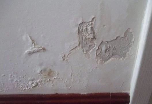 卫生间漏水重新做防水注意事项,新房装修防水注意事项有哪些