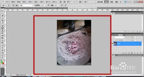 ps工具介绍大全,关于朴树的介绍