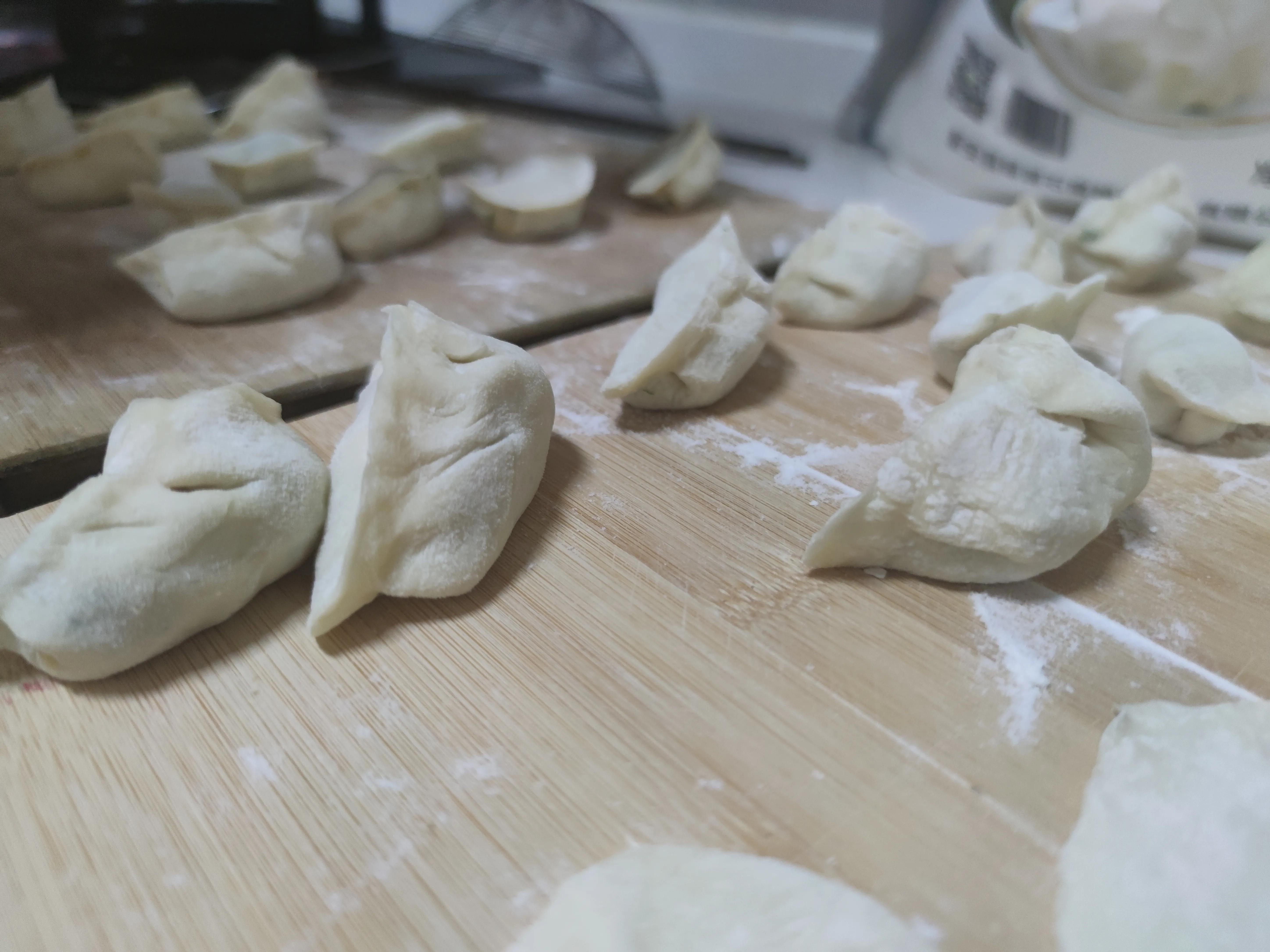 茴香馅饺子视频,茴香馅饺子怎么做好吃