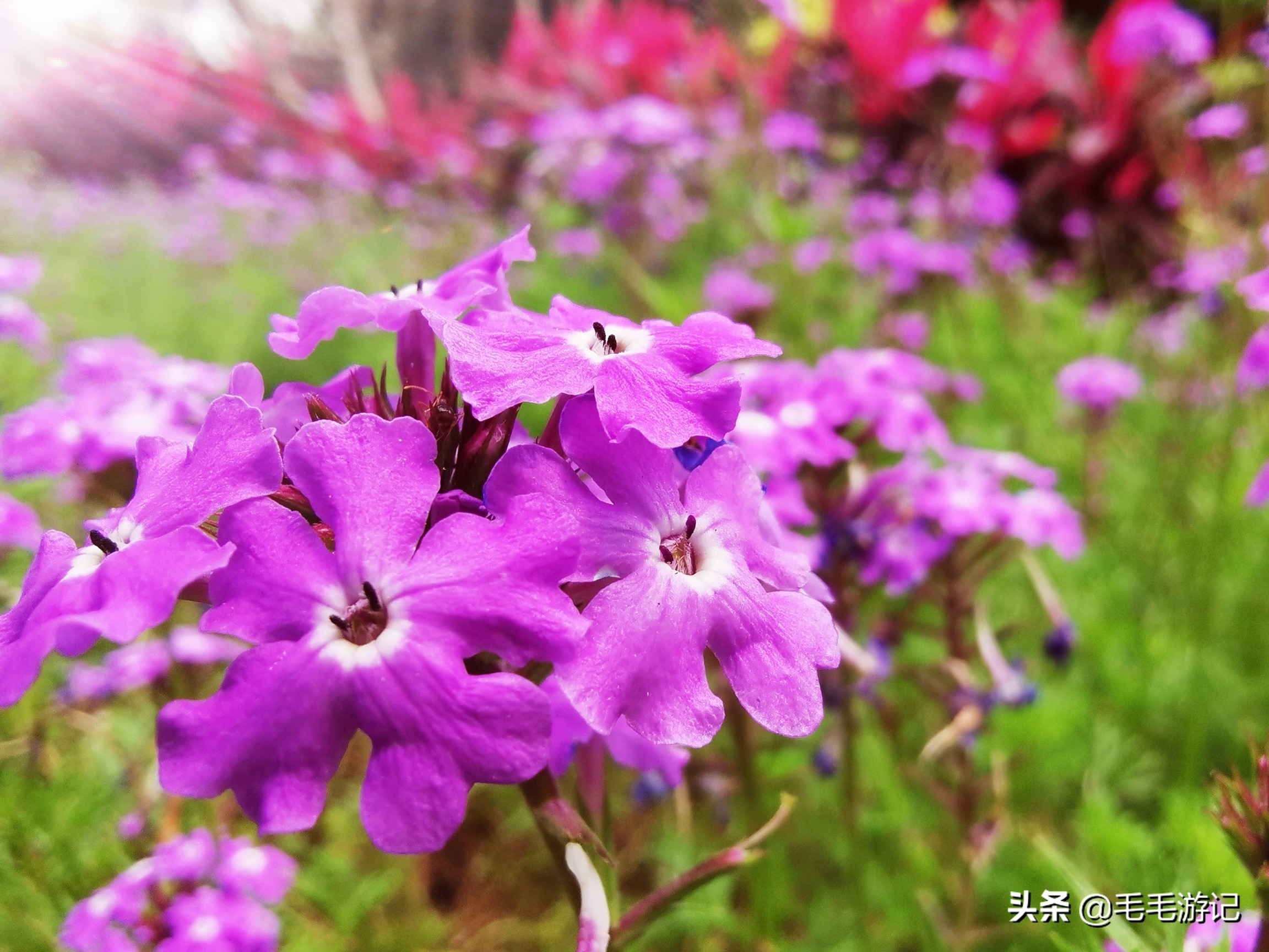 户外散步海珠湖,户外徒步广州