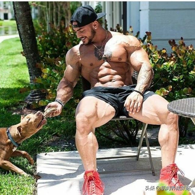 简单又不伤身的腹肌锻炼,最简单的腹肌动作7周能练出效果