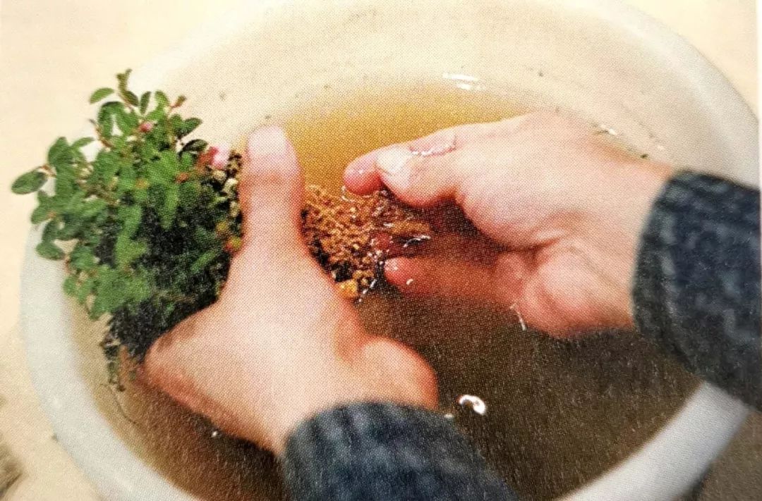 盆景制作方法与技巧,盆景制作小技巧