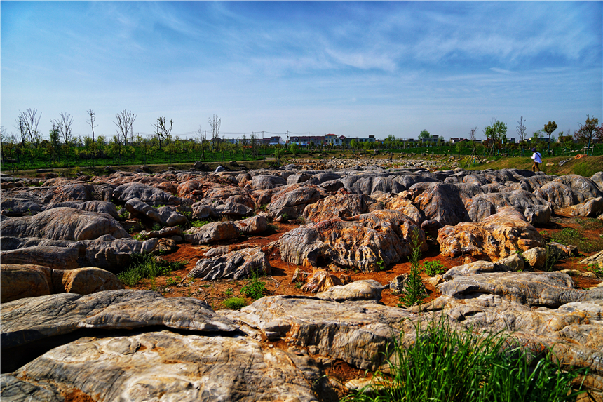 我和宿州有个约会，一场花事，一次慢旅行，探寻最烟火的宿州味道
