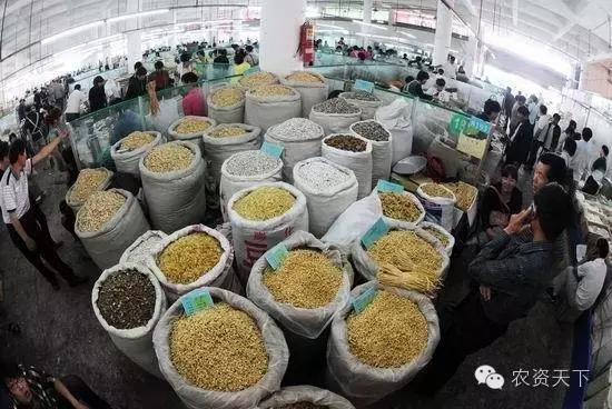 种什么赚钱多利润大,种什么能赚钱