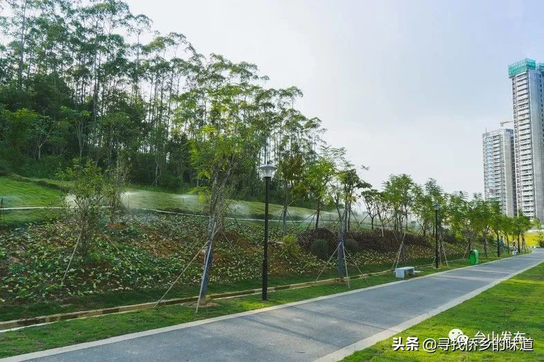 这个网红记录片，告诉你台山改革前不为人知的一面