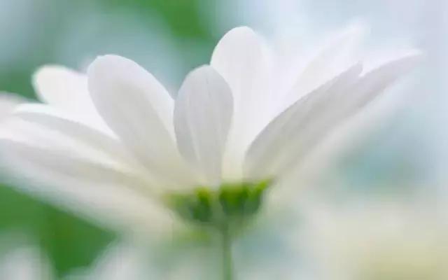 最无助的时候除了坚强别无选择,最无助的时候一切靠自己