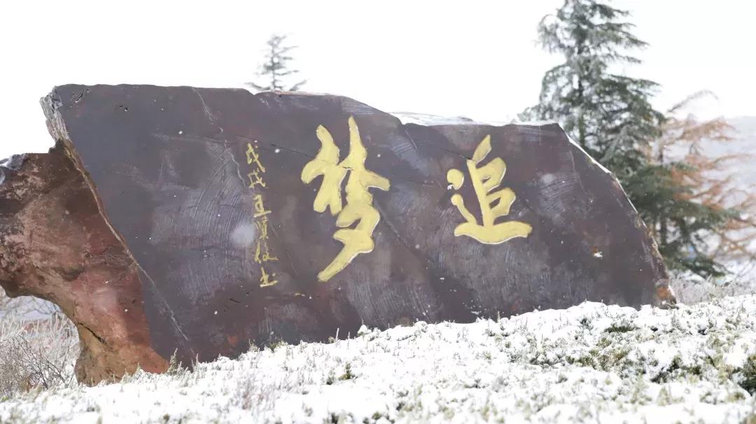 民办学校大连艺术学院全国排名,大连艺术学院辽宁排名