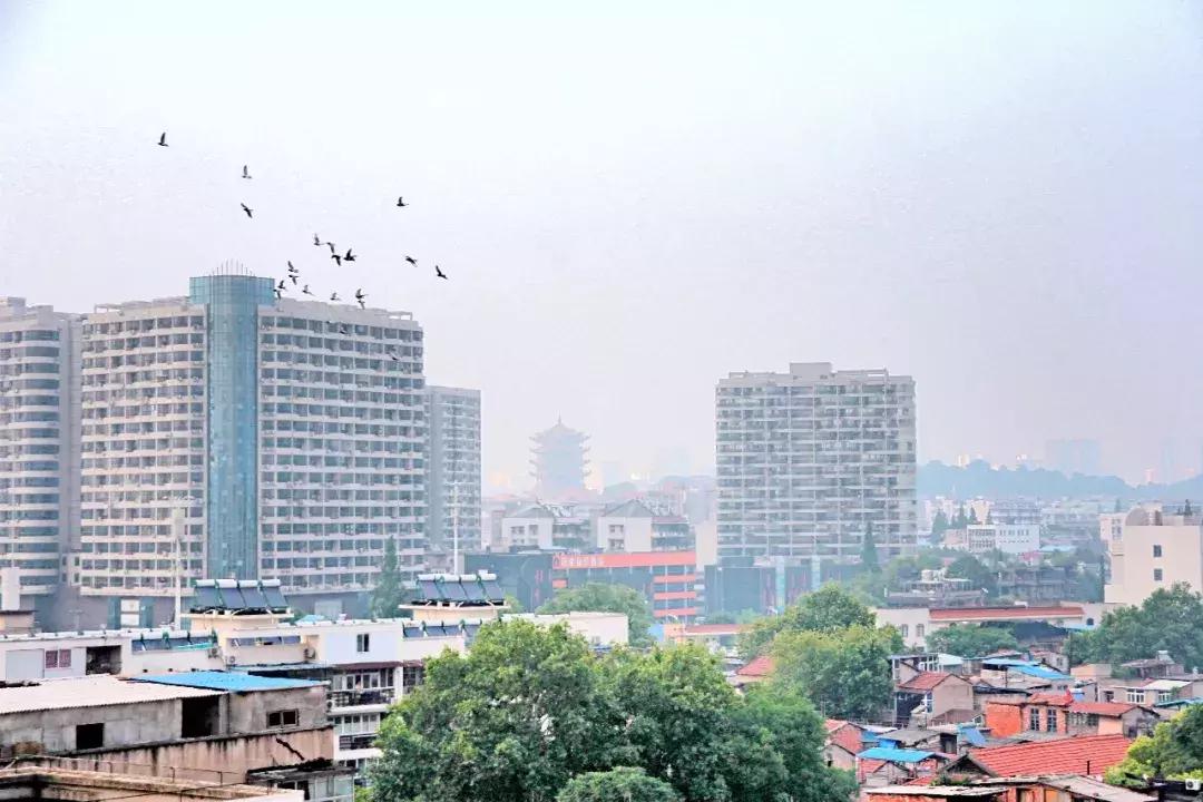 武昌这所低调的大学坐拥一线江景，教学楼窗外就是黄鹤楼