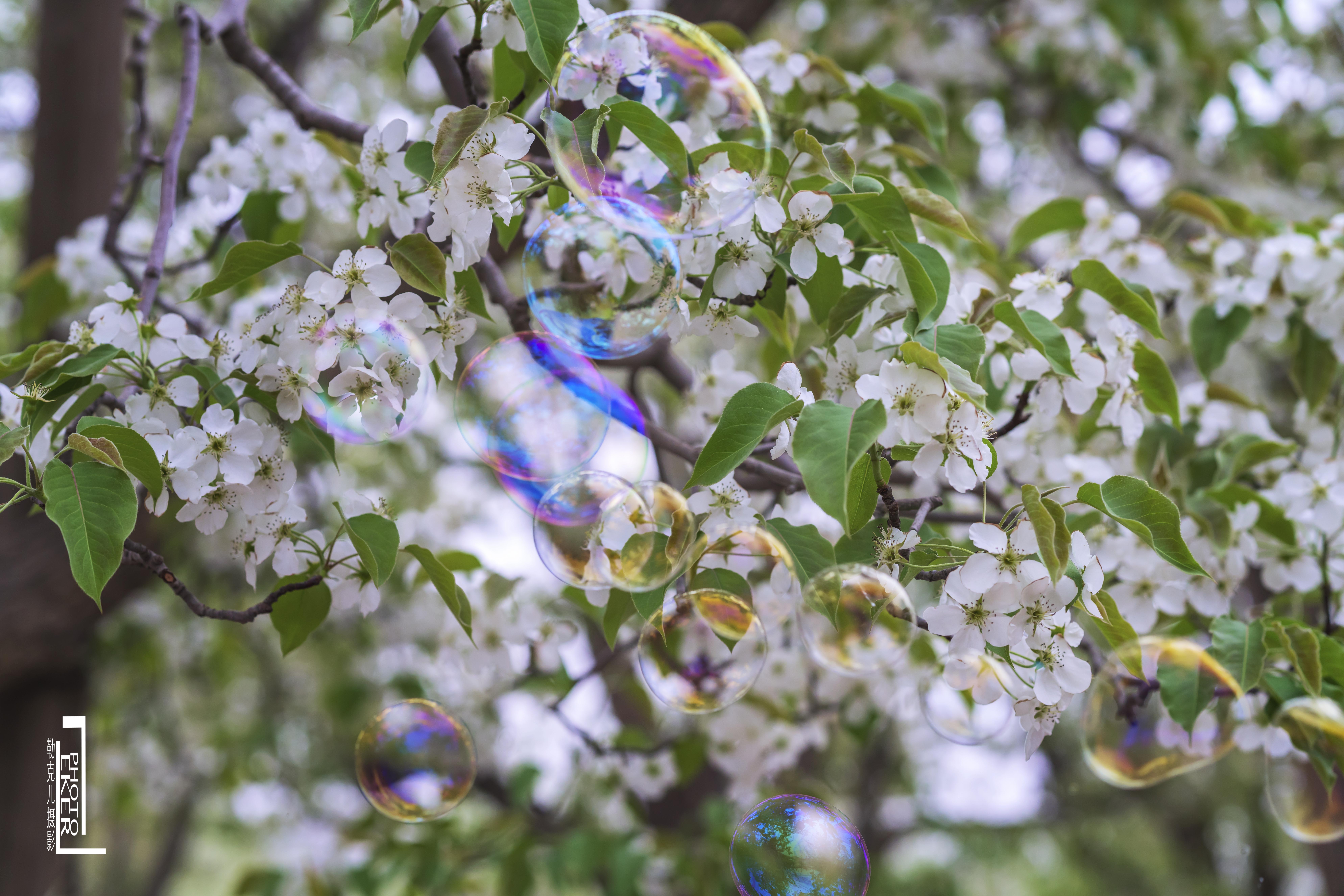 大西北戈壁滩怎么形成的,我国西北地区大戈壁滩形成原因