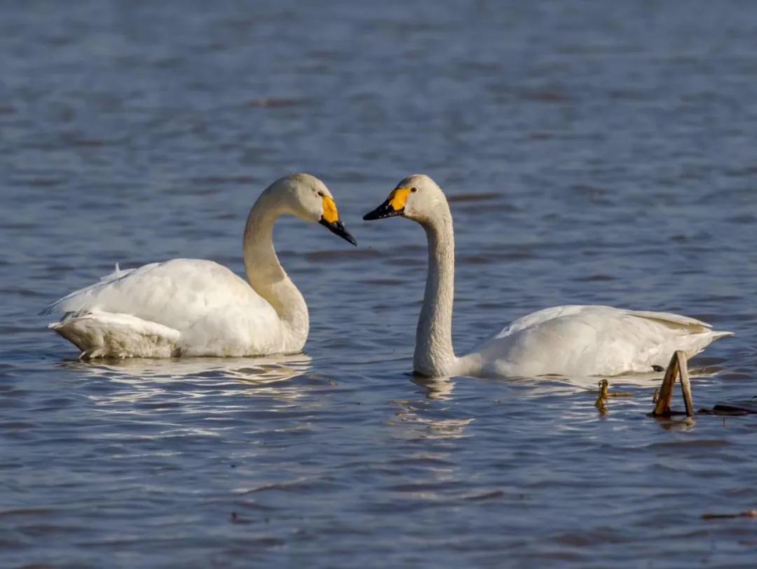 珲春春夏游,五一节珲春旅游