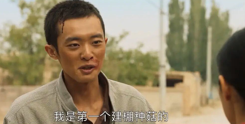 山海情的追剧心得,山海情电视剧感言