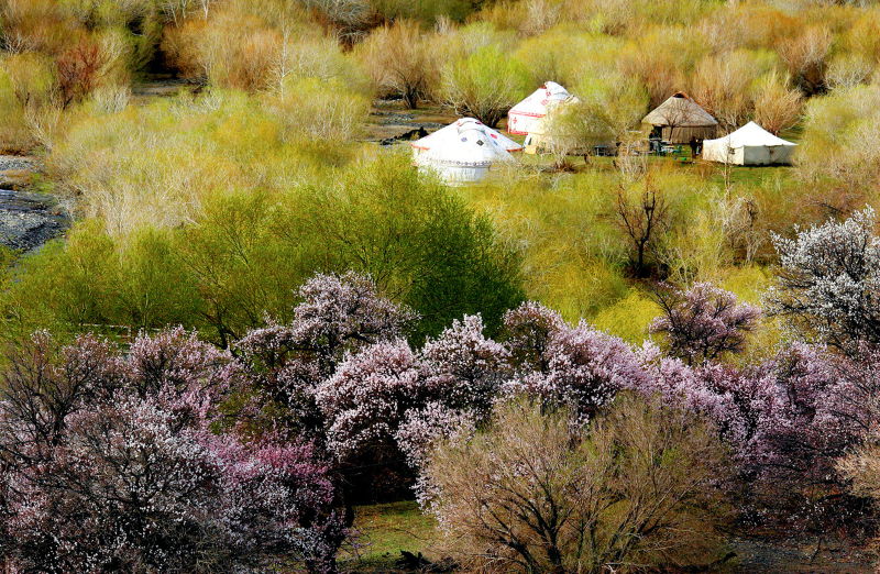 西部明珠，大美伊吾，体育+旅游打造最强第三产业