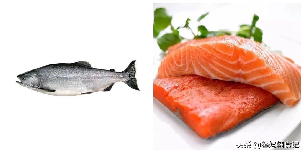 生吃三文鱼的营养价值与功效,带鱼和三文鱼哪个营养价值高