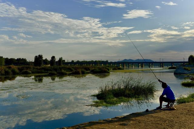 大鱼太多如何钓鲫鱼,大鱼少小鱼多怎么钓