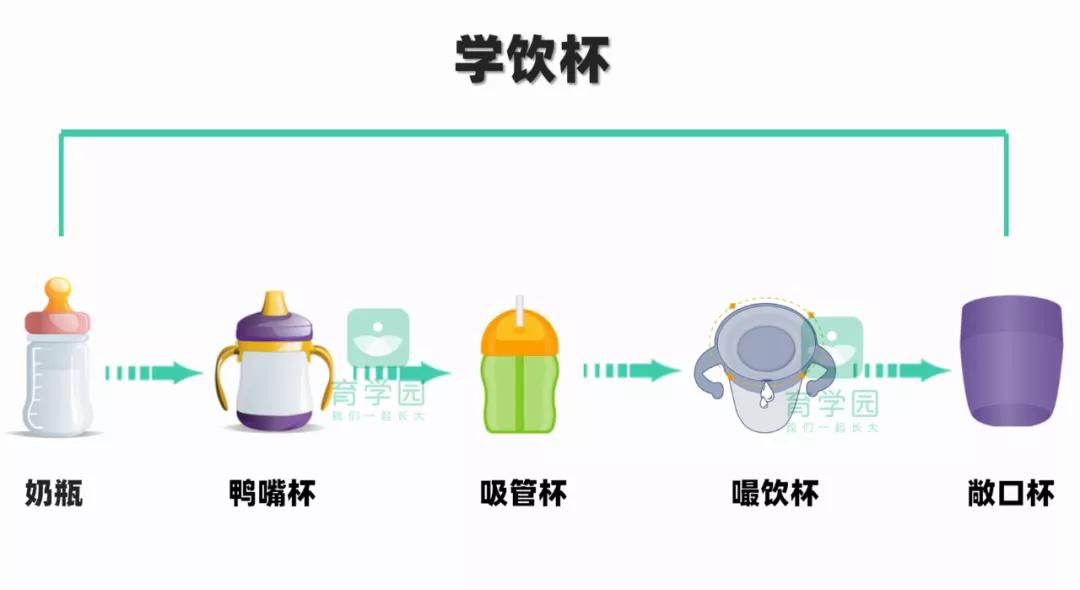 宝宝奶瓶鸭嘴杯和吸管杯讲解,奶瓶鸭嘴杯吸管杯最适合的年龄段