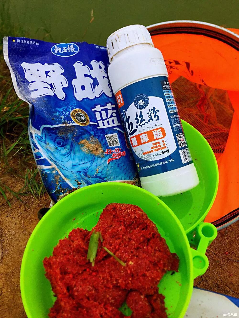 野战蓝鲫怎么样,野战蓝鲫如何开出最好的状态