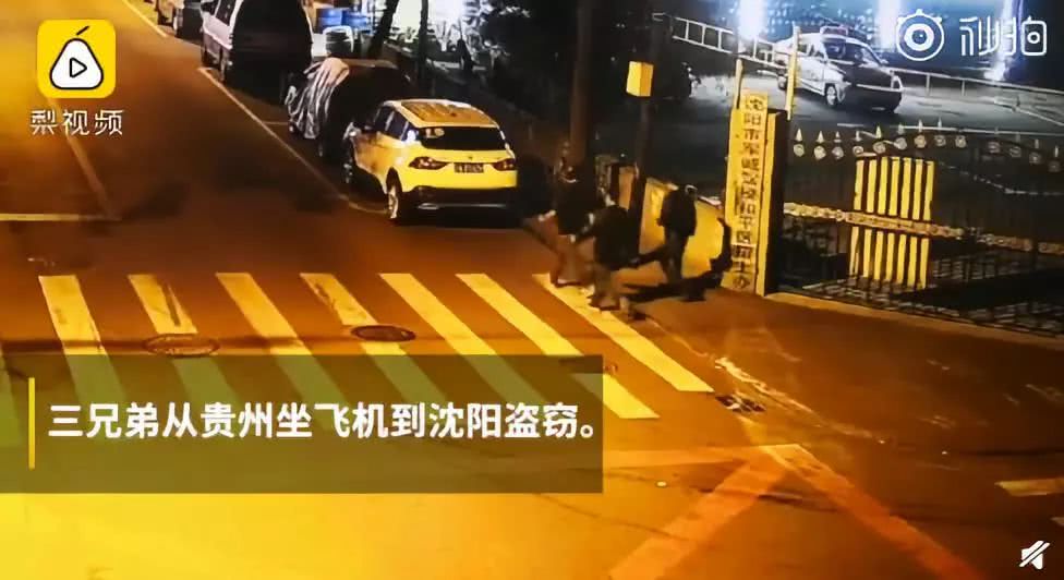 奇葩新闻大全爆笑合集,各种奇葩新闻笑死人