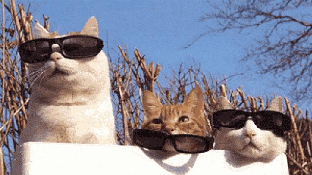 孩子过敏却查不到过敏源咋办,孩子过敏查不出过敏源怎么办