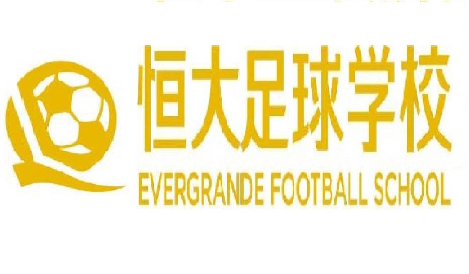 足球国足2018世界杯12强赛预选赛,足球国足对巴西