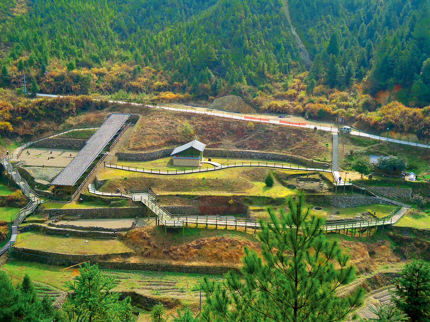 青瓷深度解析好看吗,龙泉窑青瓷简介