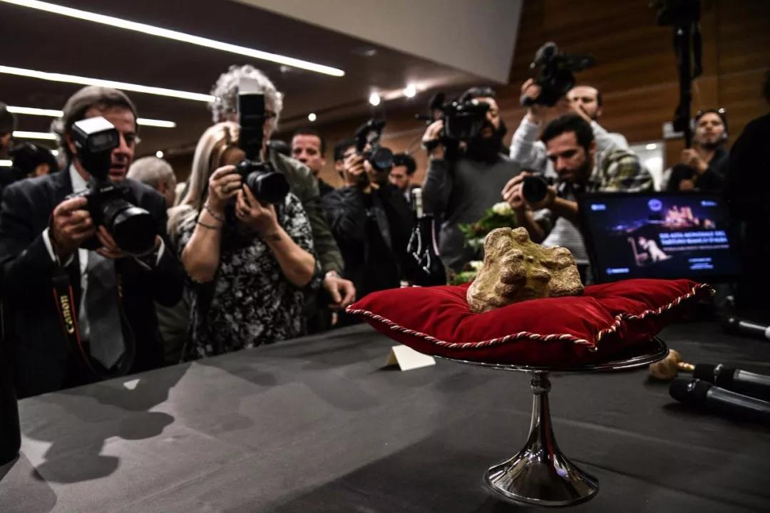 顶级松露价格多少钱一斤,松露价格不菲