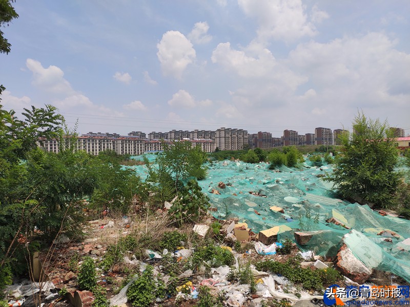 青岛亚洲杯足球场周边规划,亚洲杯青岛青春足球场