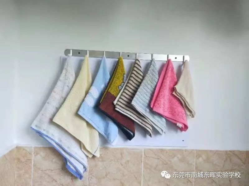 东莞南城东晖实验学校初中公费生,东莞市南城东晖实验学校