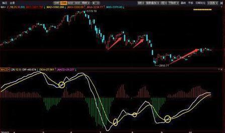 一位北大女博士谈股票,北大一个女博士演讲