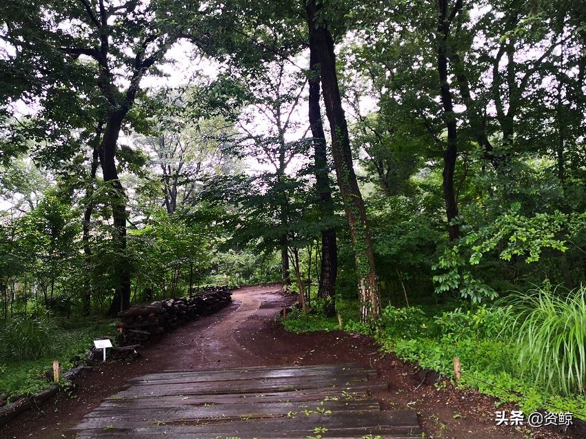 日本的小微企业有哪些,日本小微企业