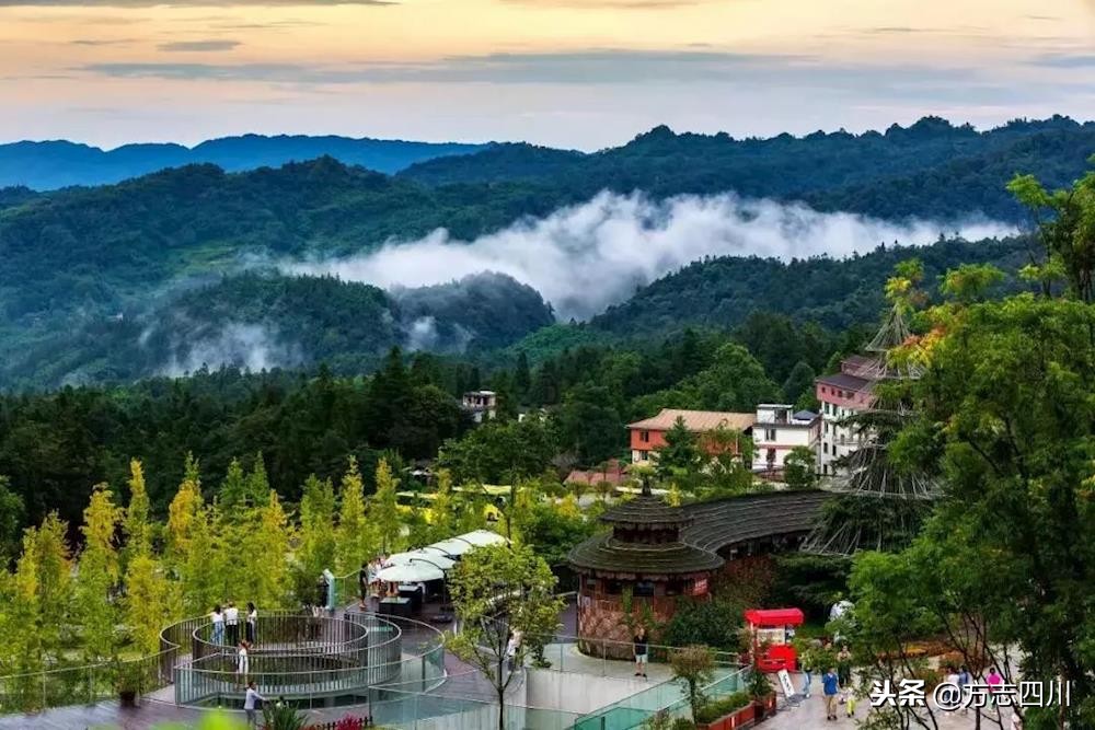 四川改革开放的案例,四川的改革开放成绩