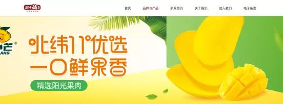 盐津铺子：半年股价超200%，休闲食品百亿新龙头如何达成的？