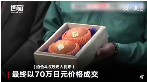 日本天价水果是真的吗,日本柿子和中国柿子