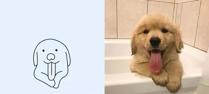 你和大触绘画的区别：一看就会一画就废，这波动物简笔画太形象了