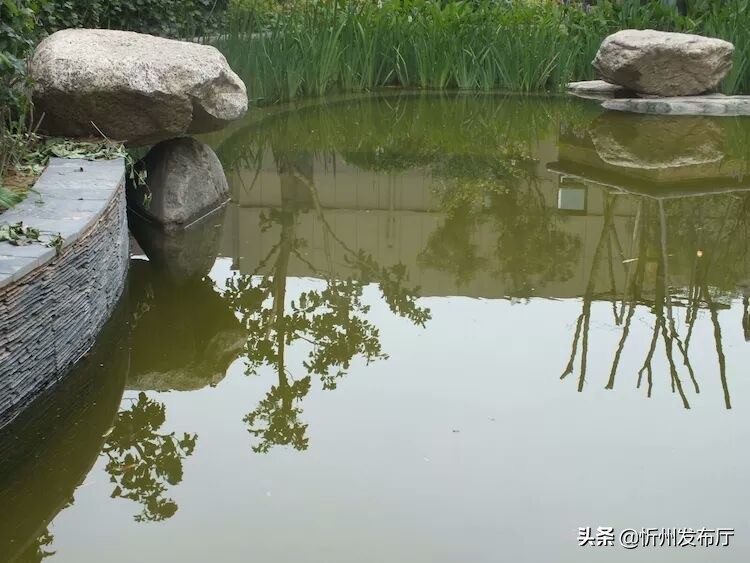 忻州国力花园二期在哪个位置,忻州国力花园五期和国力新城二期