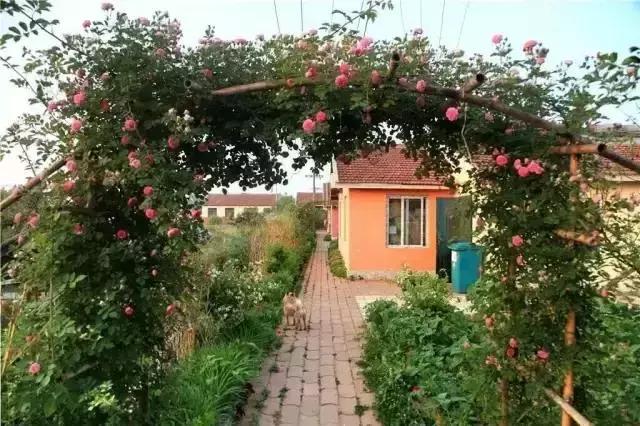 家庭300亩的农庄如何实现盈利,生态农庄家庭农场年赚百万的秘诀