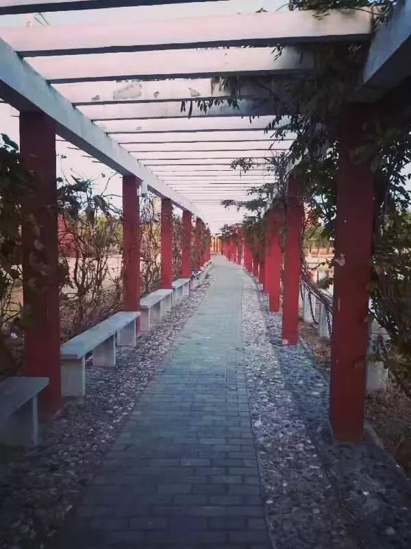 天津市独立院校（四）天津财经大学珠江学院