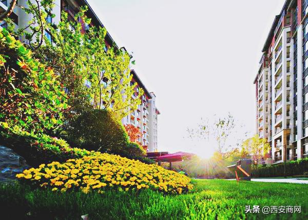 浐灞碧桂园未来趋势,碧桂园顶跃西安浐灞